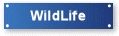 WildLife
